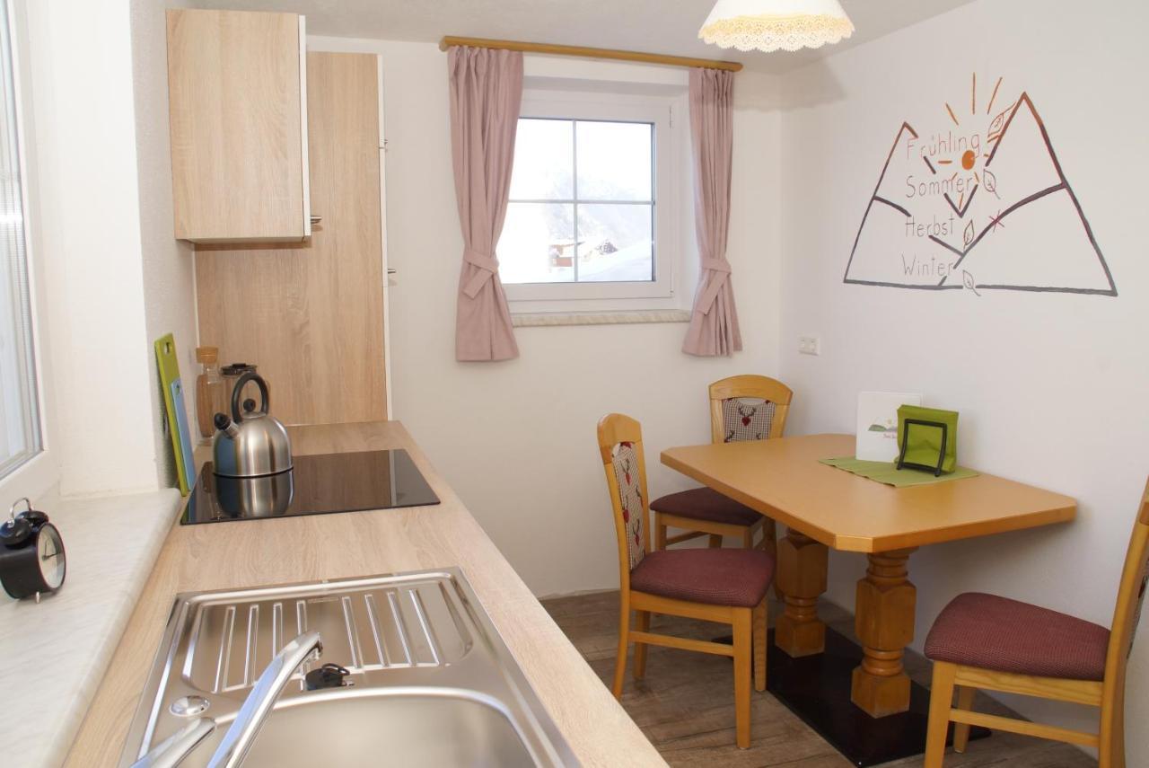 Haus Tauernseitn Apartment Schladming Ngoại thất bức ảnh